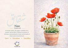 Load image into Gallery viewer, Poppy Card | کارت شقایق