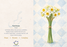 Load image into Gallery viewer, Narcissus card | کارت گل نرگس
