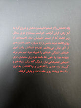 Load image into Gallery viewer, سگ سیاه زایشگاه
