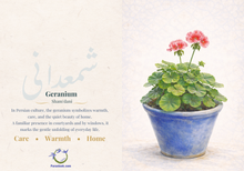 Load image into Gallery viewer, Geranium Card | کارت گل شمعدانی
