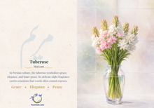 Load image into Gallery viewer, Tuberose | کارت گل مریم
