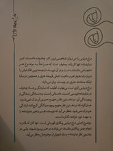 Load image into Gallery viewer, مرغ دریایی
