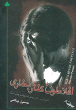 Load image into Gallery viewer, افلاطون کنار بخاری
