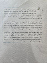 Load image into Gallery viewer, تاریخ بی‌خردی
