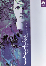 Load image into Gallery viewer, لطیف است شب
