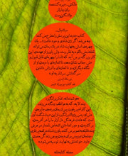 Load image into Gallery viewer, بخشندگی: گامی به پیش
