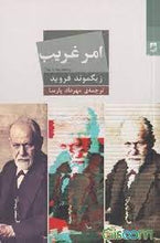 Load image into Gallery viewer, امر غریب

