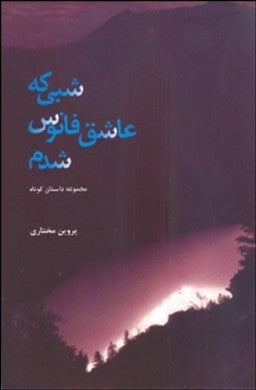 شبی که عاشق فانوس شدم